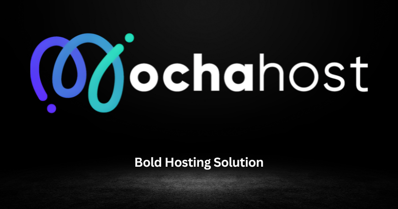 MochaHost Web Hosting Review (2025)