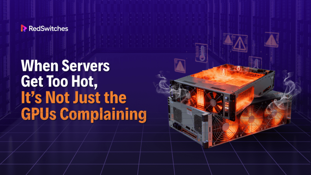RedSwitches Review: Cheapest Bare Metal Servers? (2025)
